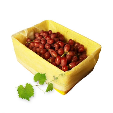 無籽紅提