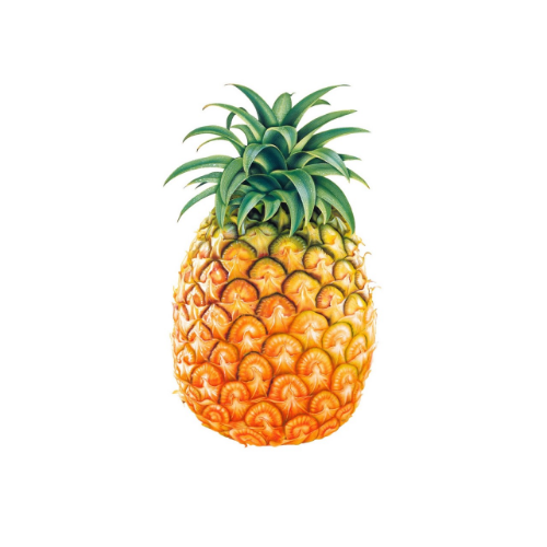 菠蘿