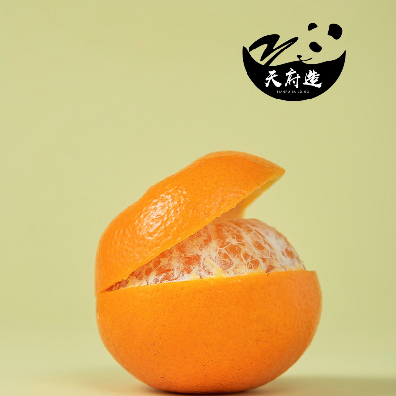 天府造
