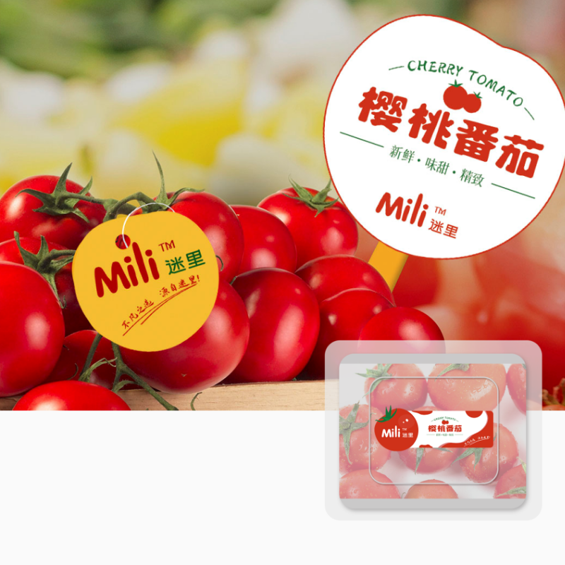 MILI迷里