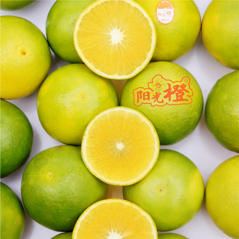 陽光橙