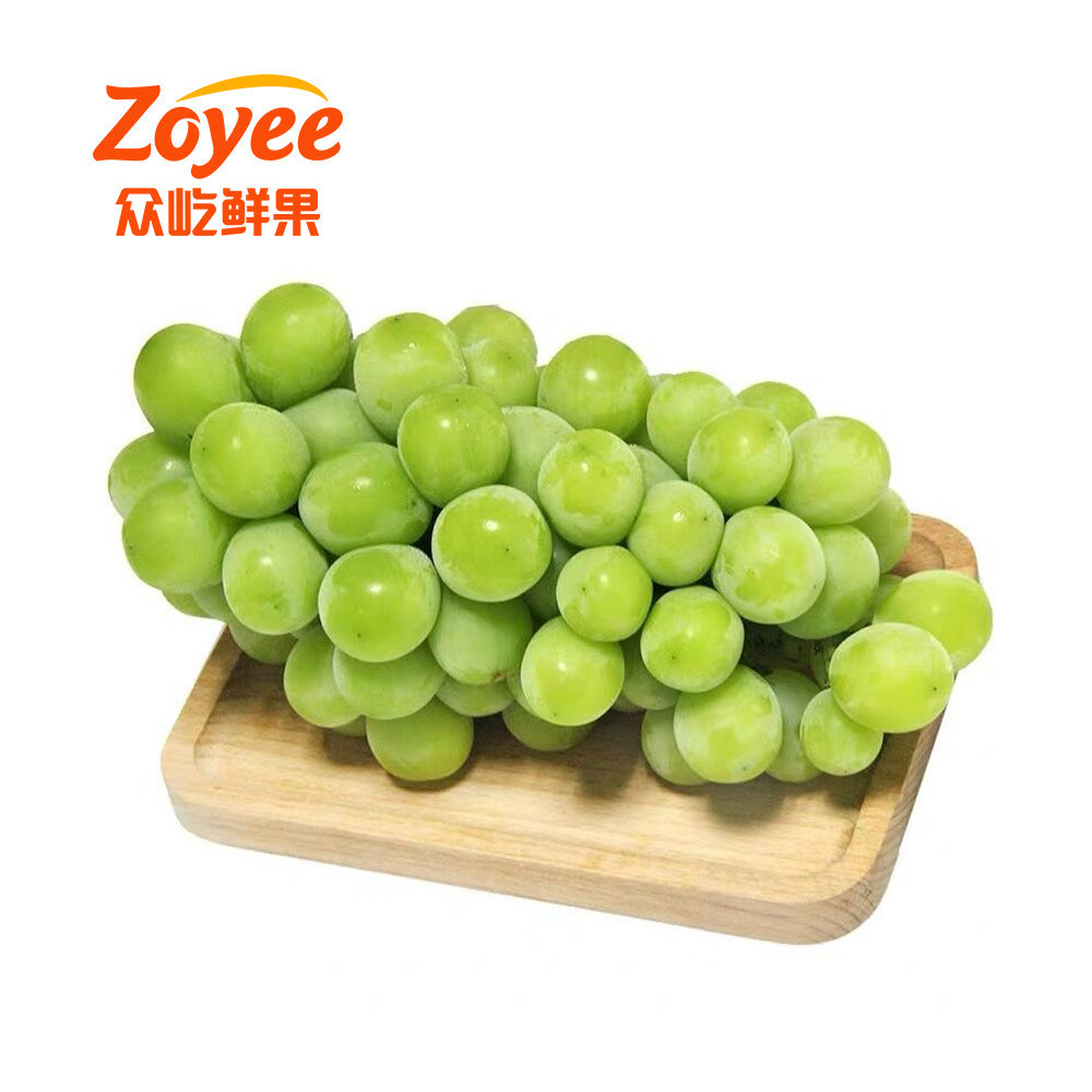陽光玫瑰