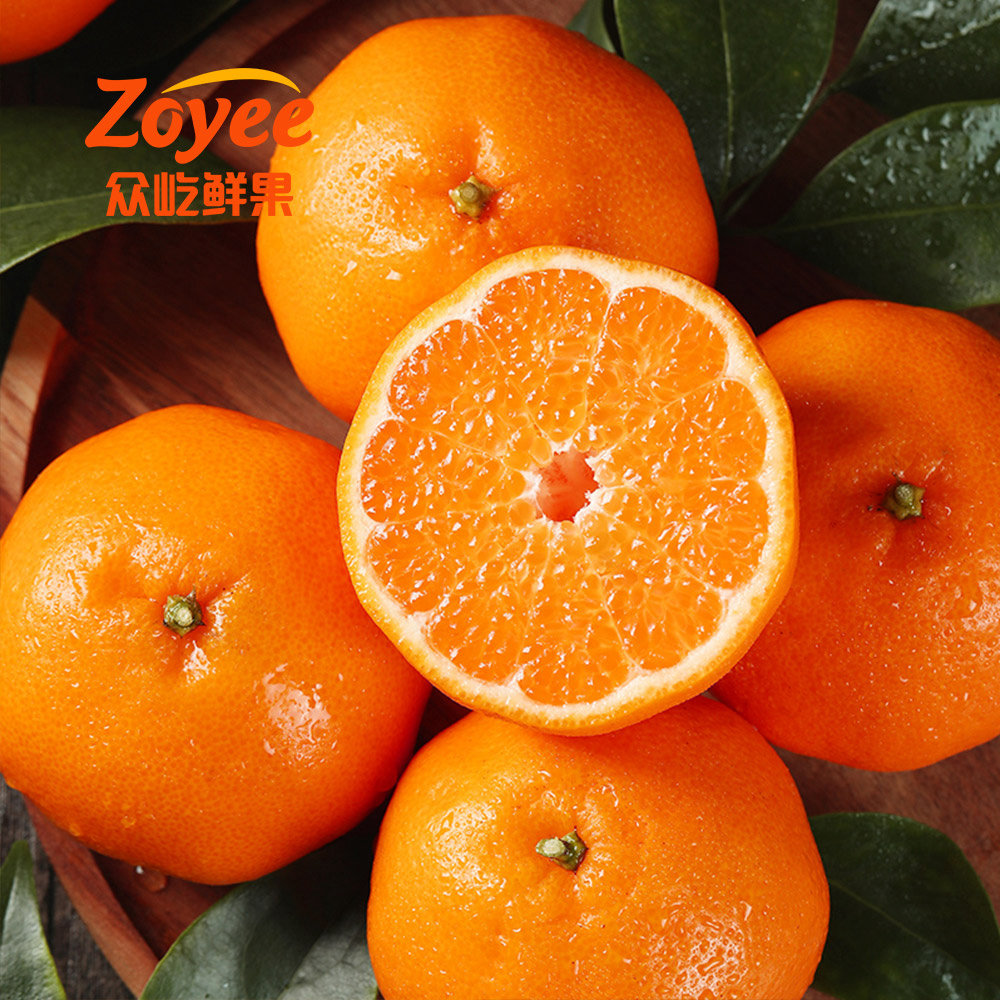 陽光愛匠
